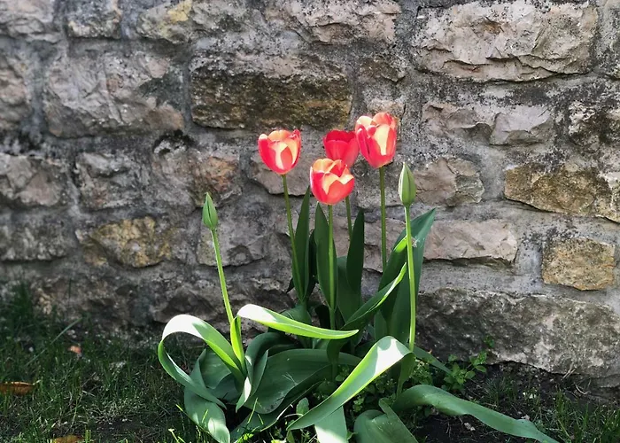 Apartmán House Pécsely